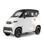 Mini mașină electrică Nu este necesară licența